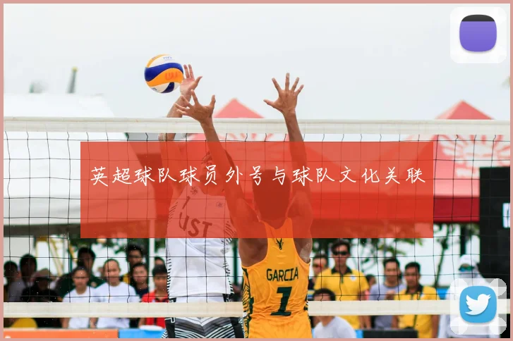 英超球队球员外号与球队文化关联