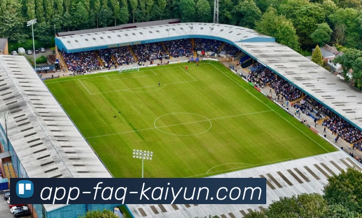 开云APP平台生态图